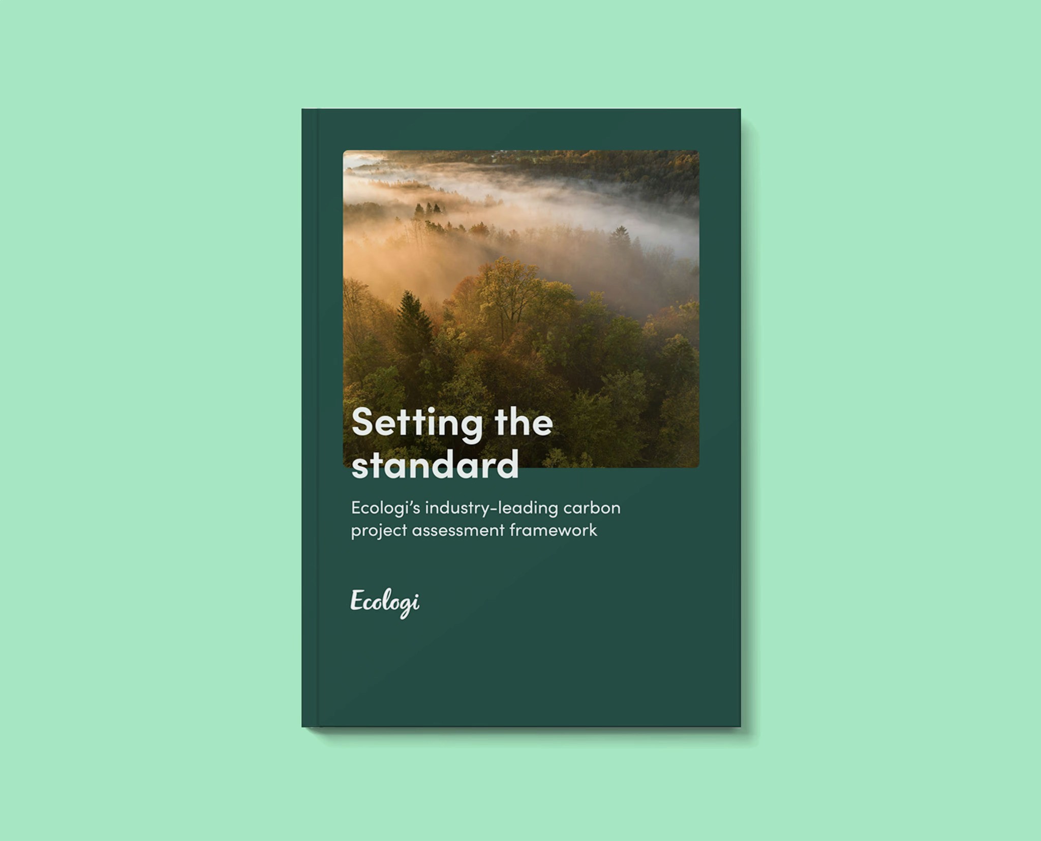 Carbon Project Assessment Framework