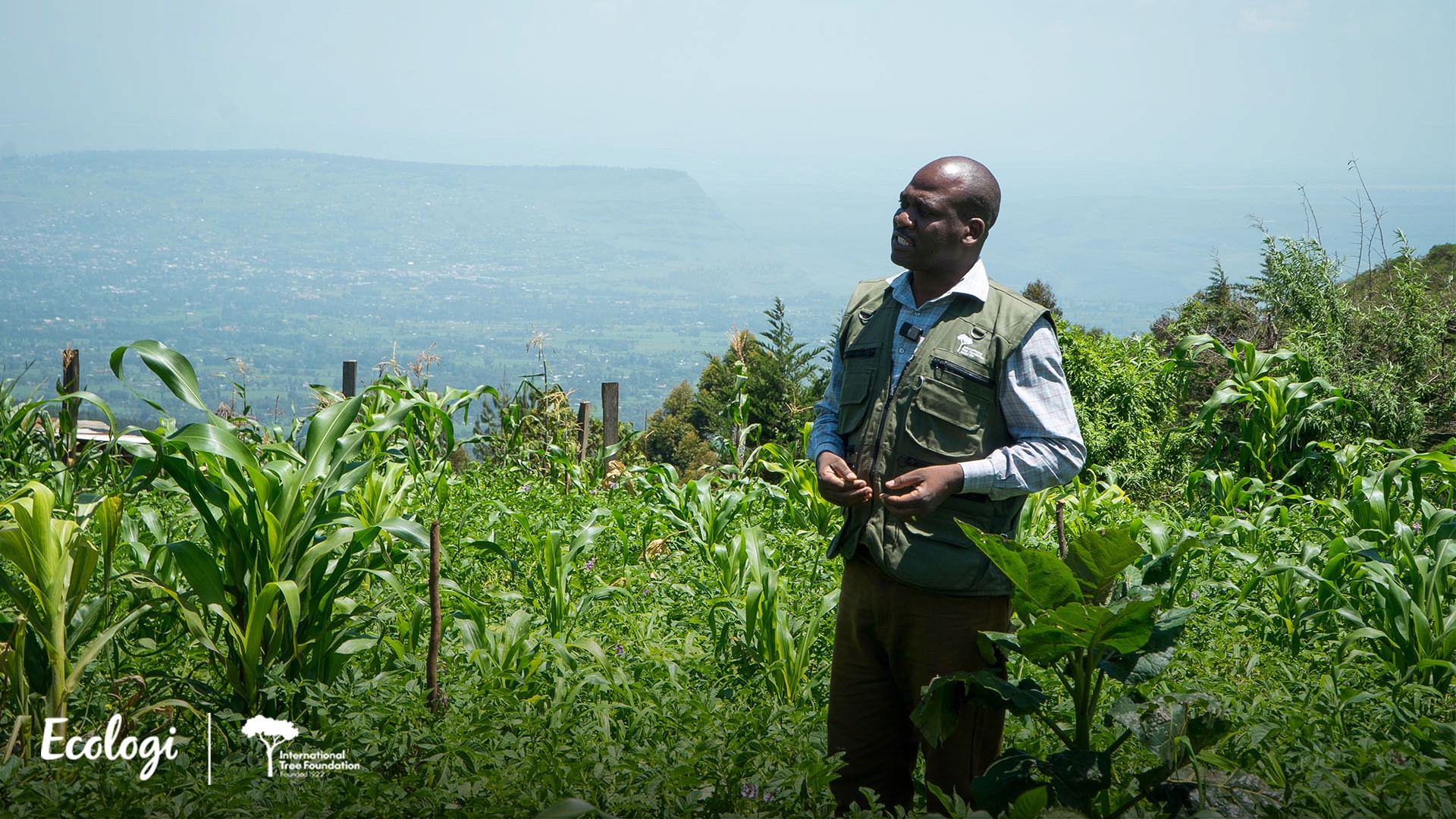 Wycliffe Matika - Africa Programme Manager at International Tree Foundation