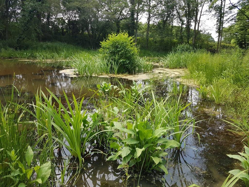 Global spending on nature-based flood and drought solutions has doubled since 2013