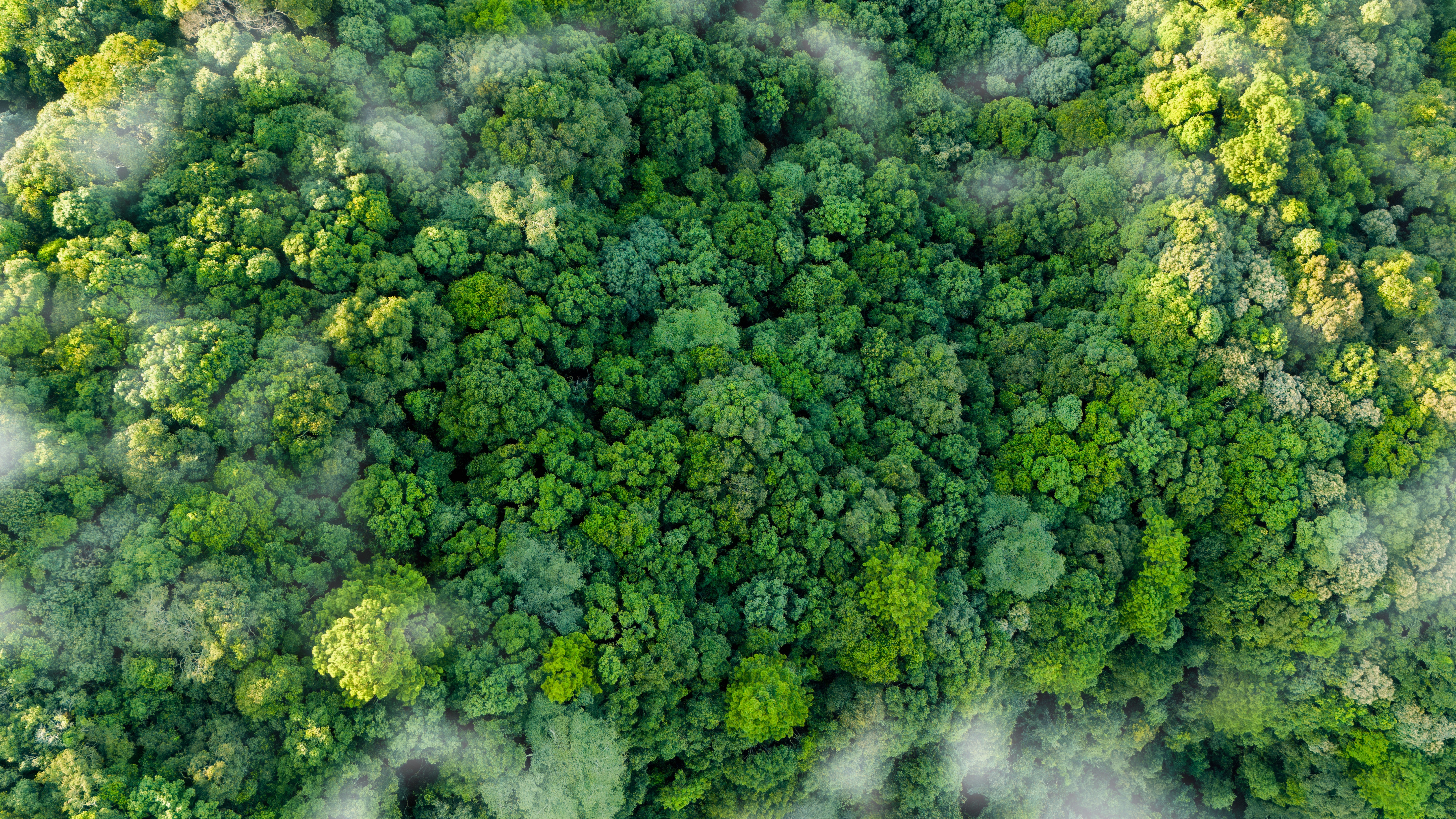 Asset managers drop net zero 2050 commitment