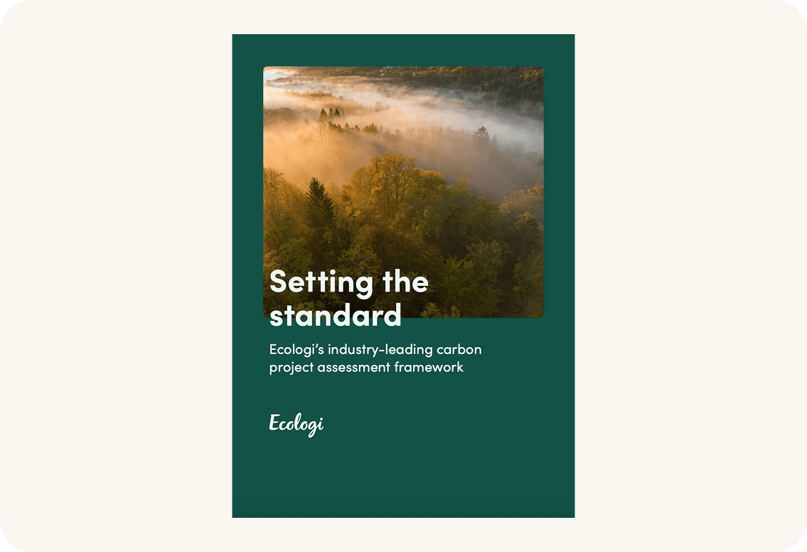 Carbon Project Assessment Framework