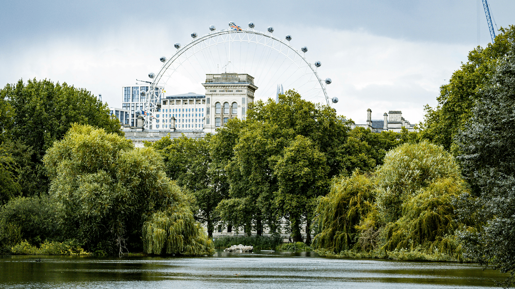 The London Eye with trees in the foreground